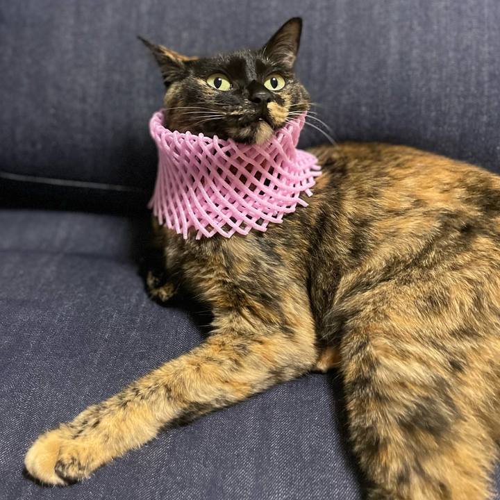 1e7eae53 53a2 46e5 b63d 15f879e31d4d 1663588693052