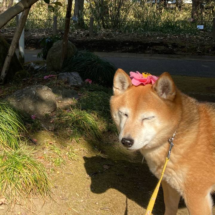 1e7eb02f 56ac 4e8e 9075 24ced40f00ba 1643865043012