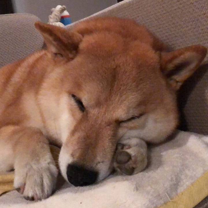 1e7eb7d7 2226 49f8 8075 1d96495a30af 1532012805875