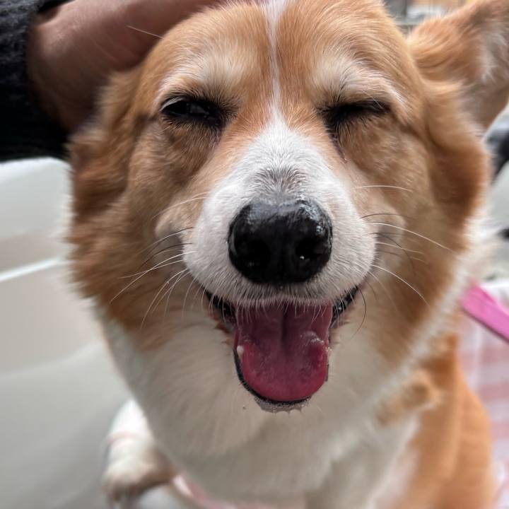 1e7ecad8 03d4 4246 91ae 4fcbb9213bd8 1742005104684