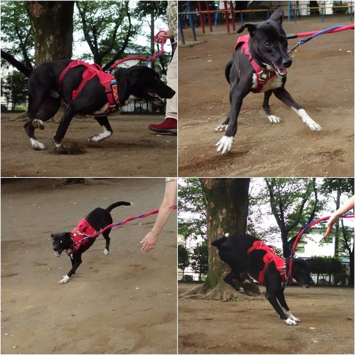 1e7ee4fb eb66 49a6 9d16 bd442525c1de 1592477784865