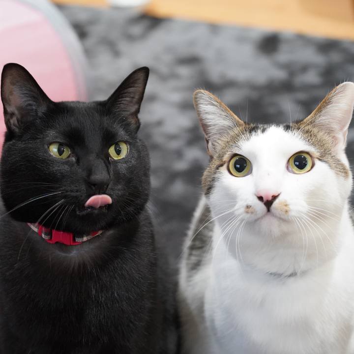 1e7f458a bb2c 42d8 a32a 05b4beb5aad3 1615208165150