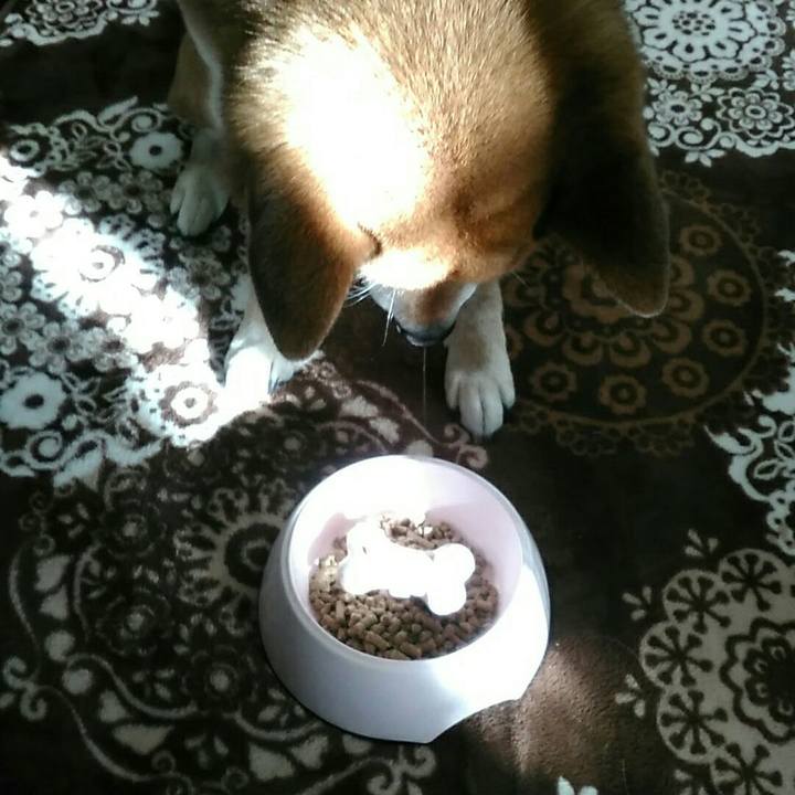 1e7f5de0 252e 48c5 8b60 c060e43e1755 1550102533228