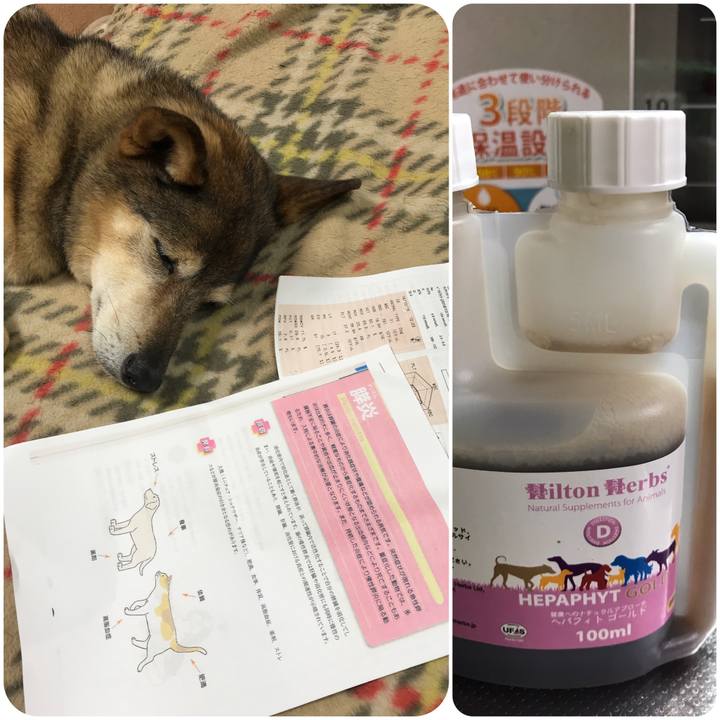 1e7fa18e a0a1 4b3c 921f f94f24935657 1539696434964