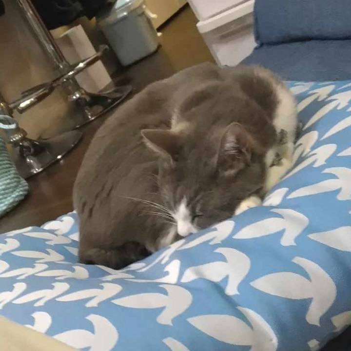 1e7fae07 7d21 4e92 ae6b c7e67d837c14 1706704850322