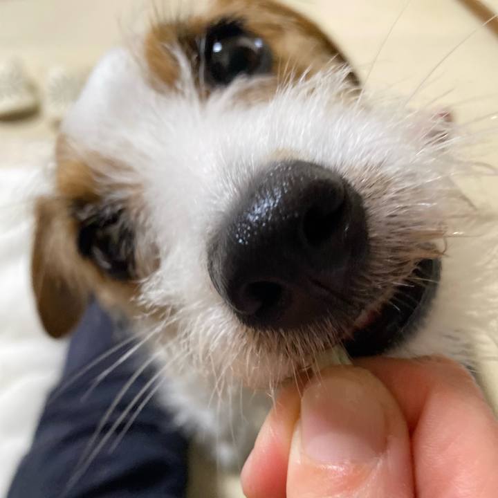 1e7fb29e 8a59 4d41 b920 7ac104daa4cf 1717769722430