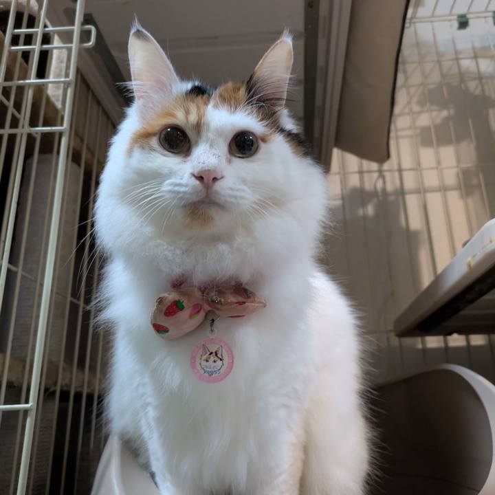 1e7fe9b3 99bb 482b b003 f96d0ab948fd 1772944327500