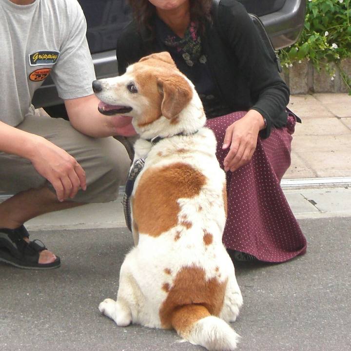 1e7fef5a df67 4c99 89a4 7b5672637306 1513045756606