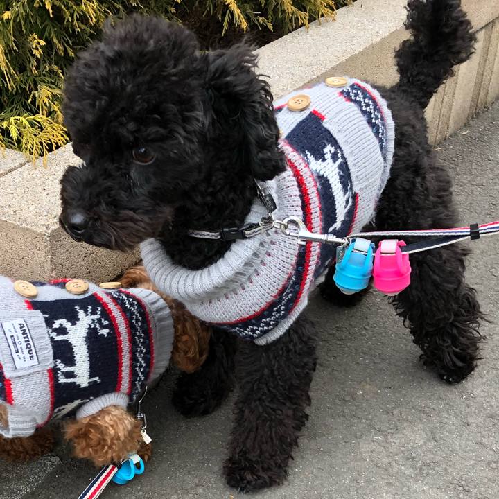 1e7ff3b9 0dfa 4141 a4e0 b15732d6803a 1549866744185