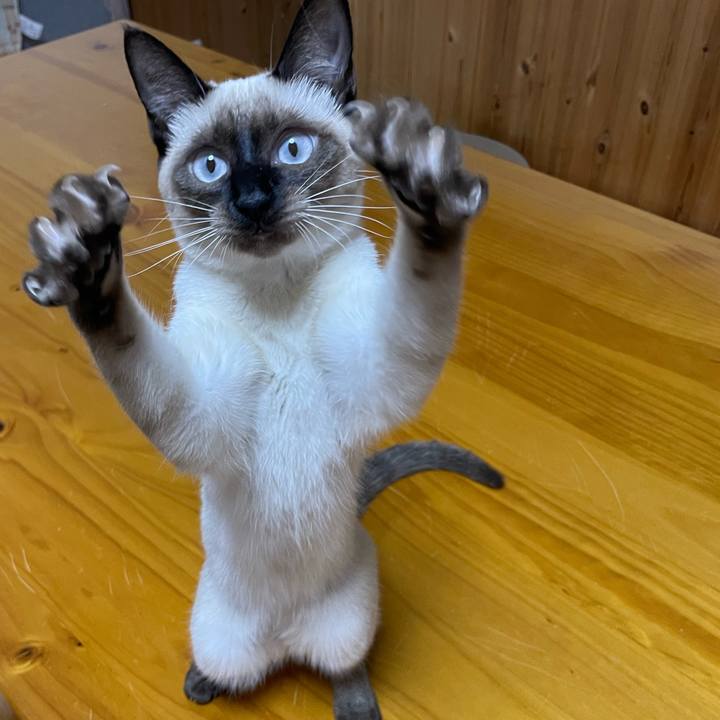 1e7ffb72 93f8 4350 b7e3 caa82dd58d07 1700422677164