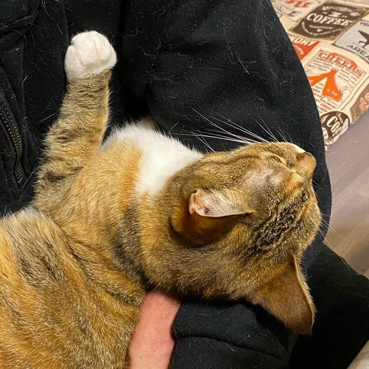 1e802d35 5f00 4cee b066 0e507f426f96 1617628404059