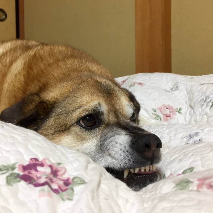 1e8057ee 94a5 4149 b67f 7e7b68ae2234 1585572832182