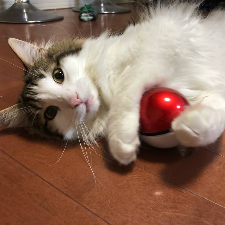 1e806607 5aa3 4a67 8759 8eecabf3ad62 1557805636104