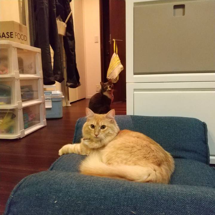 1e8077b5 5473 4740 9989 bf2970c2b38f 1634733098493