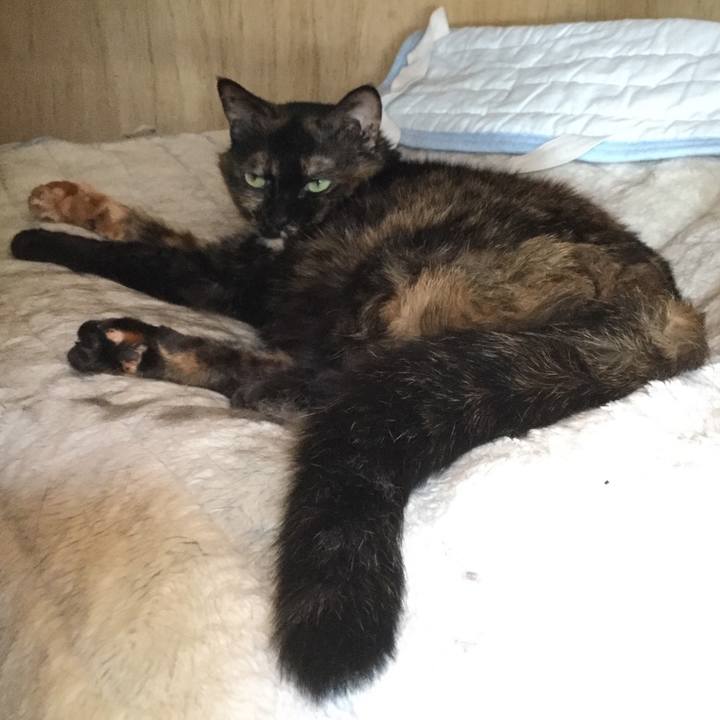 1e807c48 9eeb 4c99 93ae 3ccd25982767 1557634014526