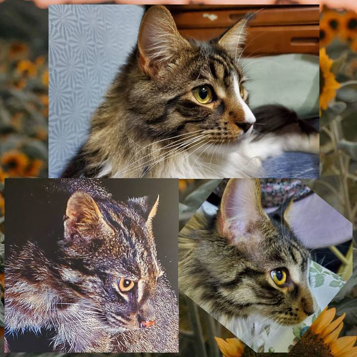 1e80935b da85 460c 9404 7bfaf2e16088 1688559836484