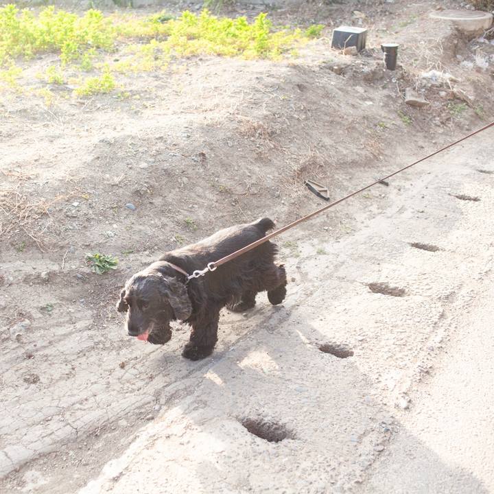 1e809816 e926 410c a343 e35cacbde34c 1549815272225