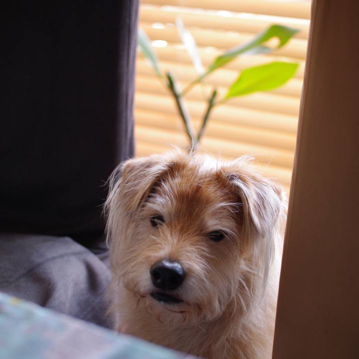 1e80ad73 8269 48b8 87b0 9b5b89c36120 1582087375681