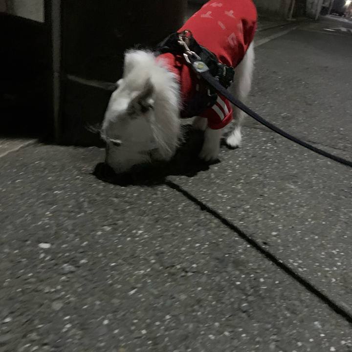 1e80b200 1778 4018 b5a5 0268a1c713b2 1677847908471