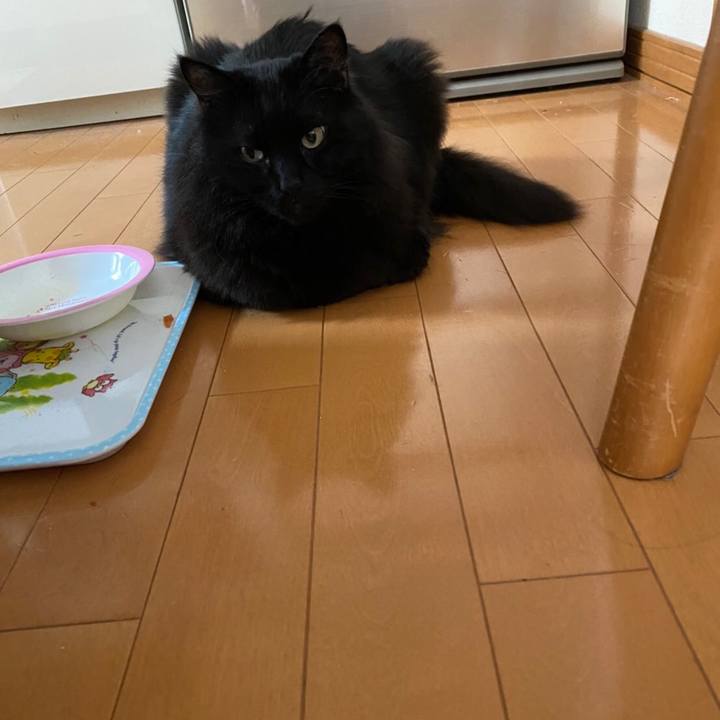 1e80bda1 1281 4a4d 83e7 ab35be0352e9 1586838895107