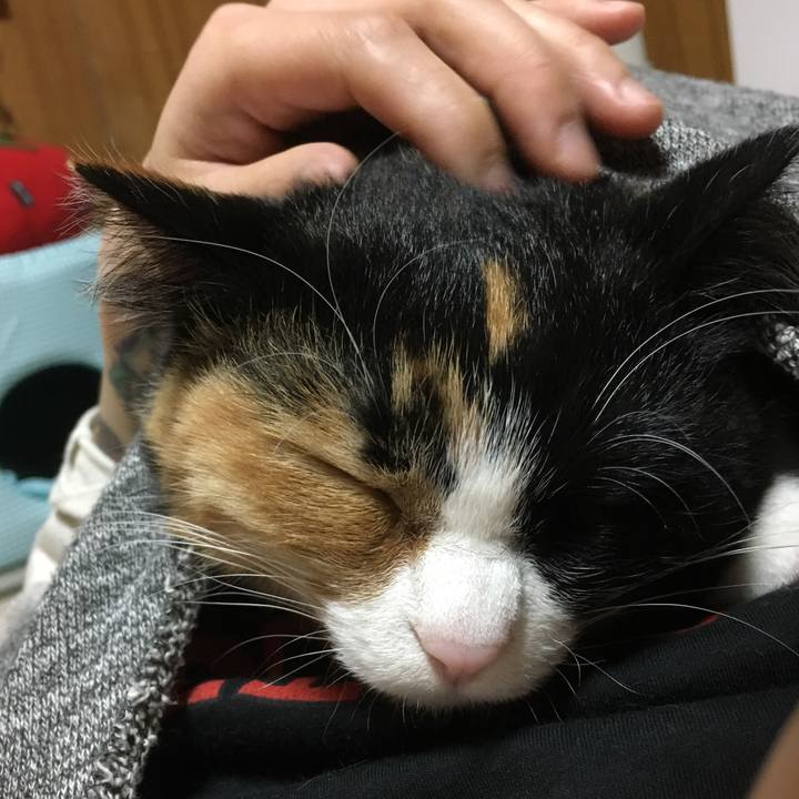 1e80f107 a440 463f b9c8 2d83ea6232f0 1515246746894