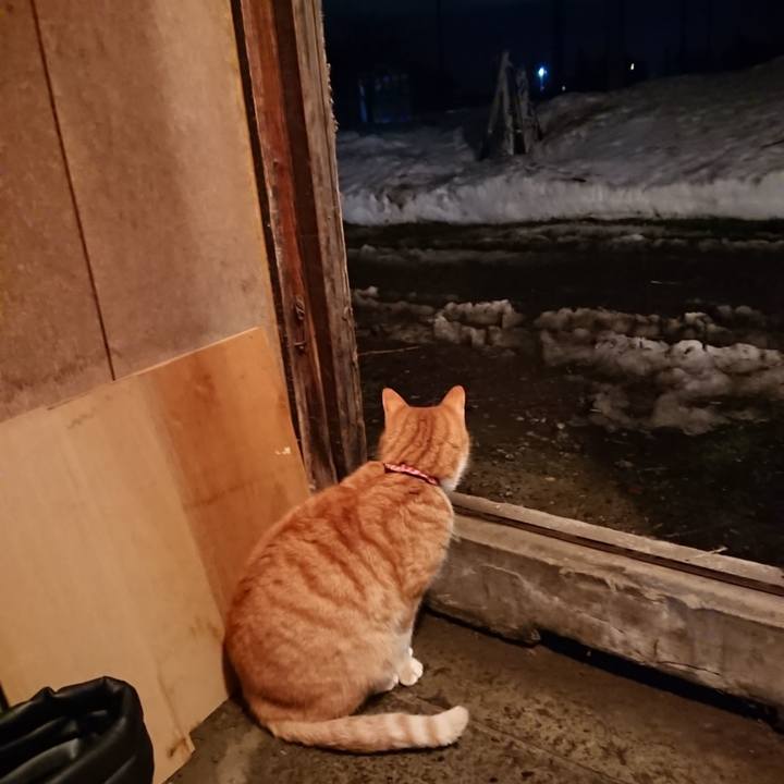 1e811d13 7d1d 4dca b907 eb4c9ff235f5 1608717517958