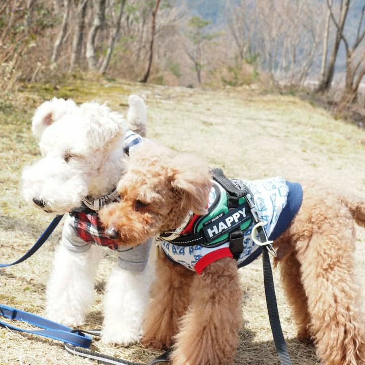 1e81449b 85c3 47bc 9e06 da980c927ebe 1521433002769