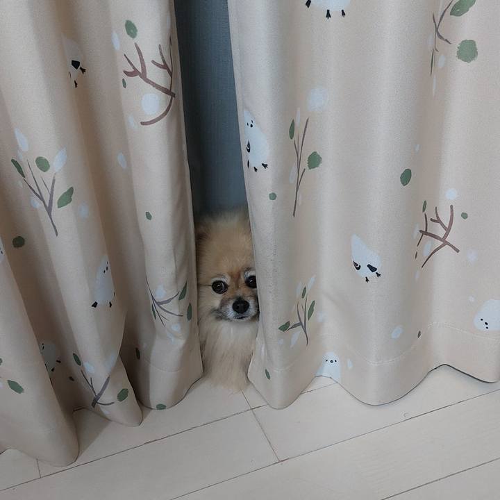 1e81512e f9fa 47be 8aa4 b42c7edf1f64 1770160747469