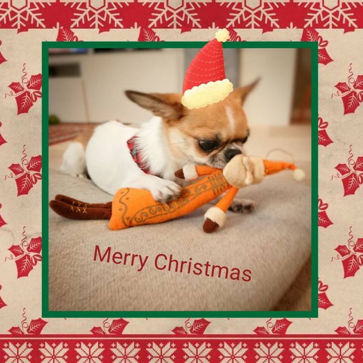 1e816daa aa8d 4d25 982b 73cdeabd687b 1577176781928