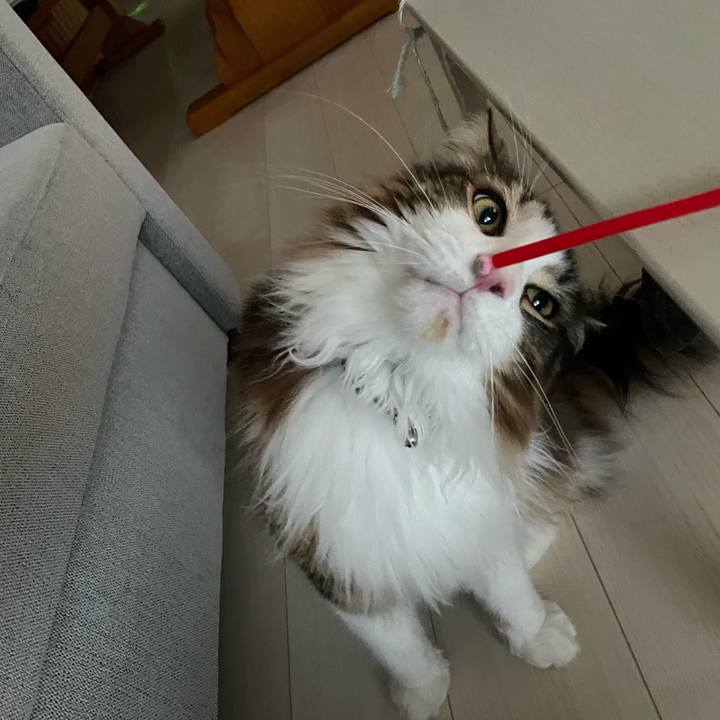 1e817814 8e7a 472d a81d a00b2dd46dcf 1658345257823