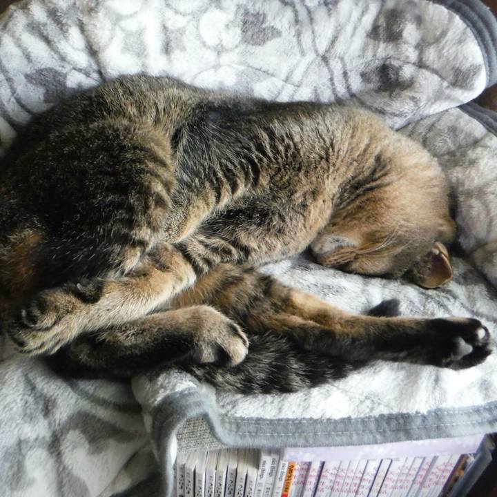 1e818961 c117 4941 bb92 06e6cdbbe53a 1538979655995