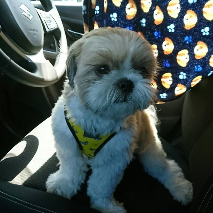 1e81918e 9340 405b 936b f4436a304415 1535202699386