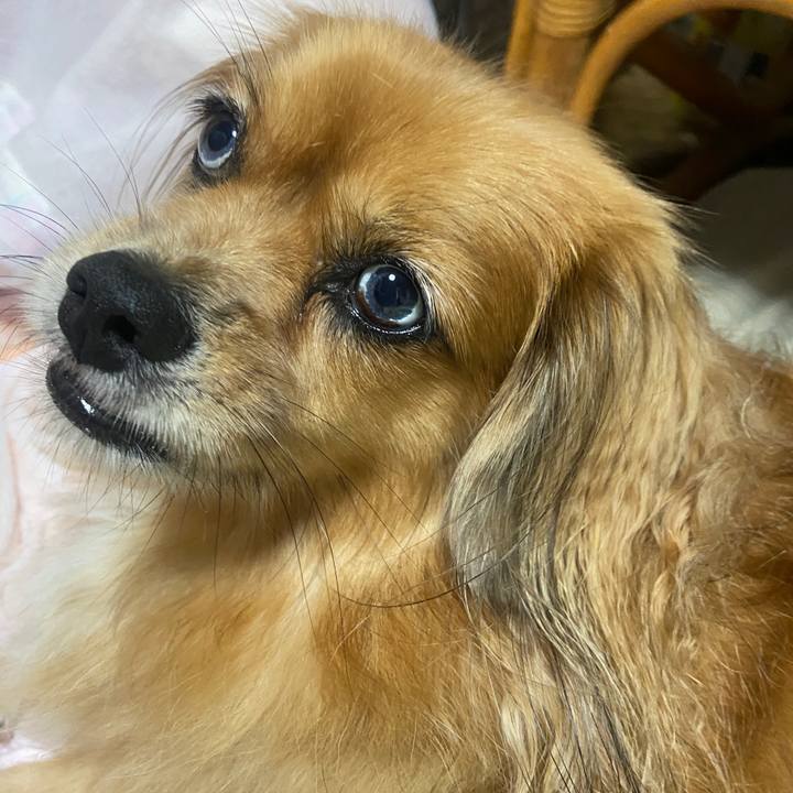 1e8194d0 5d00 44dd b4cc 3477b49ba633 1663895014760