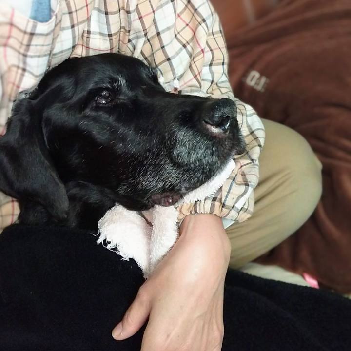 1e81c0bf aebd 4184 9b1b 3ea104c4bd8b 1738973854691