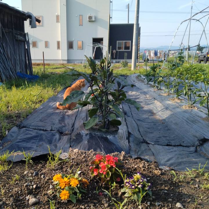 1e81e45a 23b7 49ea a37c 32a1fc221faf 1687041961551