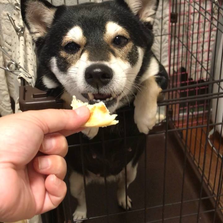 1e823474 02cd 40e5 9e47 760db5153f19 1517483505060