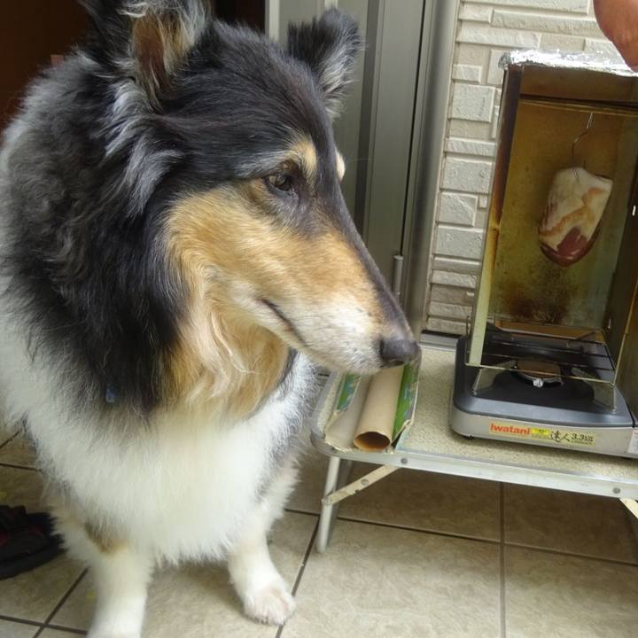 1e82386d 9ff9 432c 87df fa1f665a9945 1589202516660