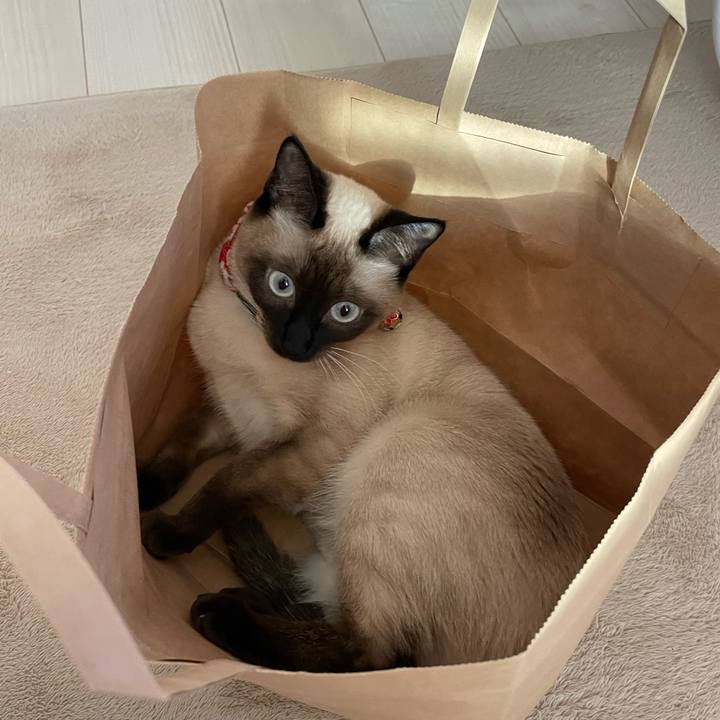 1e824627 c132 491a b1ea 2f868c850f70 1708684336157