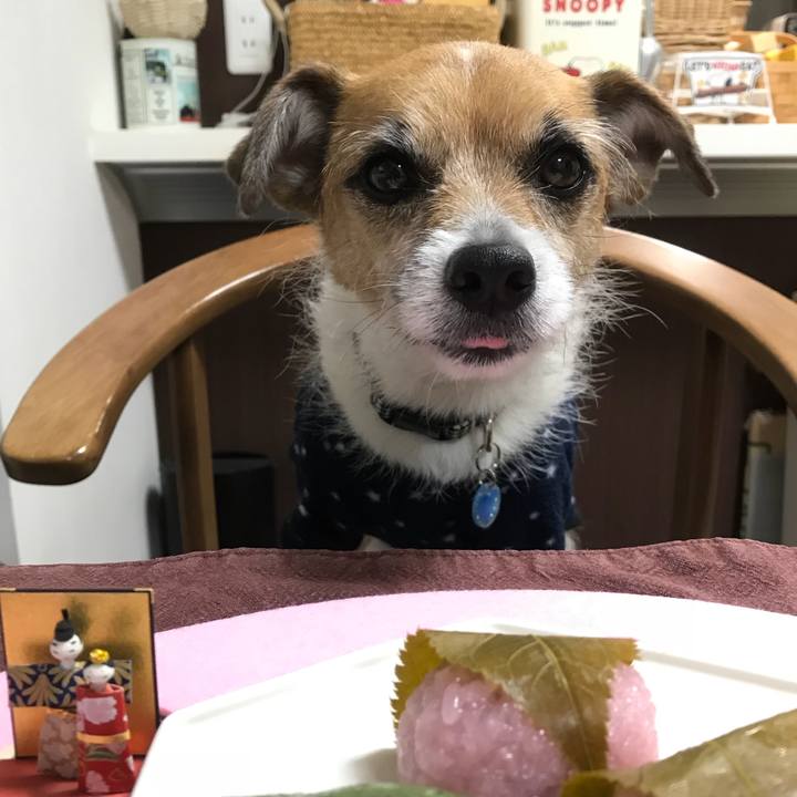 1e8249d6 9524 49e4 95a6 8356f4eec1fa 1520038722545