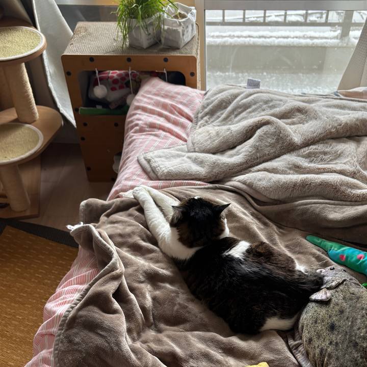 1e8281fc e8be 4db2 b71d d09182dee231 1770513073086