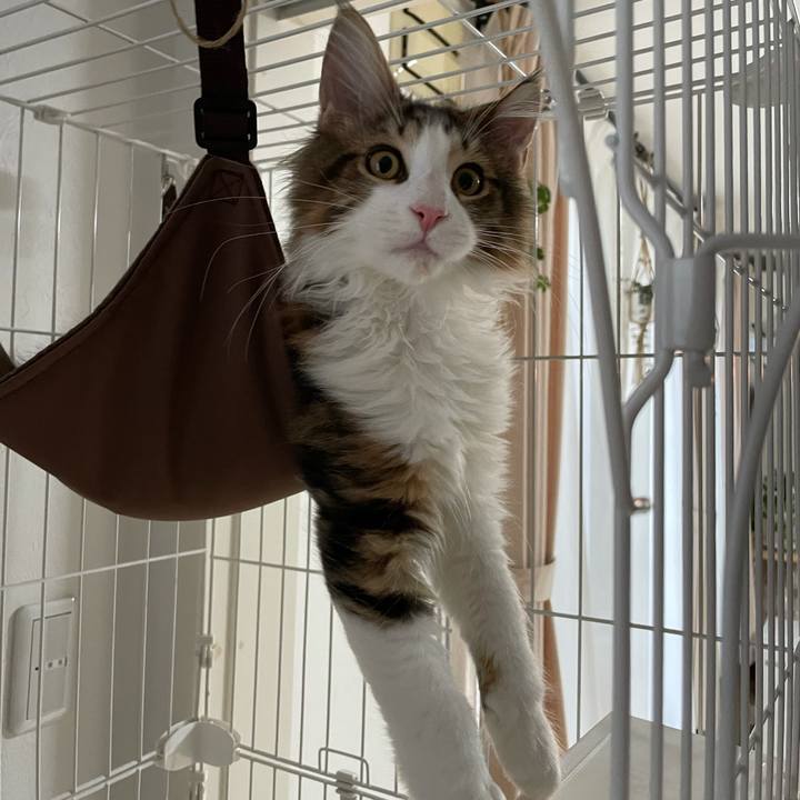 1e82bba9 1cbe 4d72 a91a 45799f6835b9 1636269315866