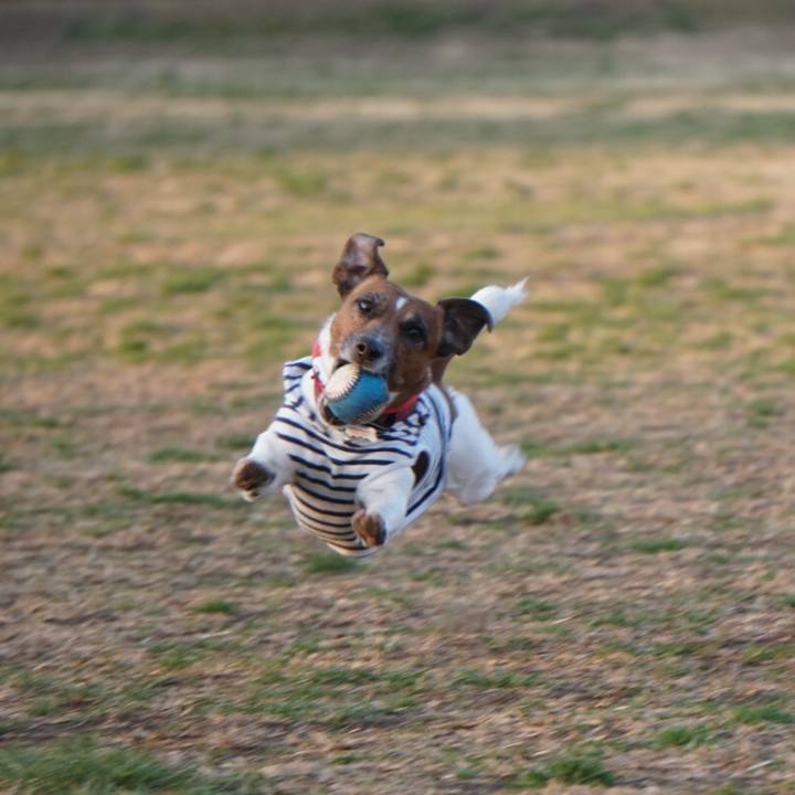 1e82ebf3 66e3 4486 8864 eba367c5c8c2 1551221584508