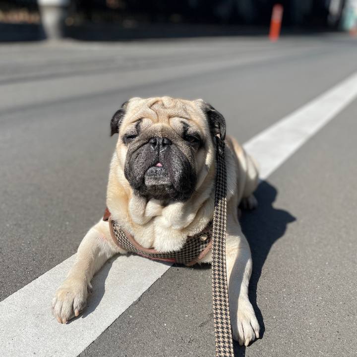 1e8313a5 720b 4dc0 a604 a712f19438a5 1676704885203