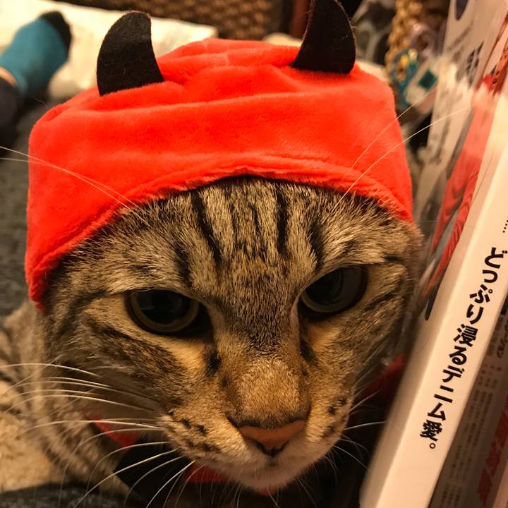 1e836445 72e1 46fc 8161 972e791e8e5e 1541309010545