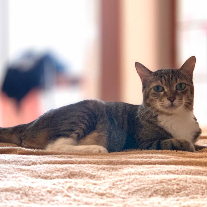 1e8382d2 2e42 49ae b659 45f27ca4e2d5 1757025070461