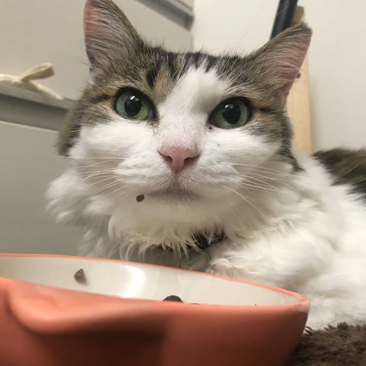 1e8382f8 c739 4636 ae53 f1066a0fa2ca 1541423805456