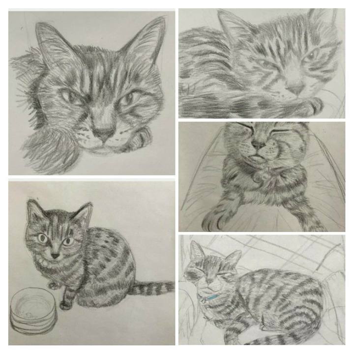 1e83c284 db3e 4736 a310 bbfe3b387426 1612424363685