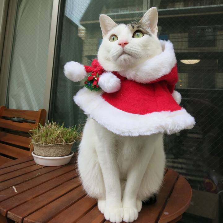 1e8421f5 50f6 41aa 8585 2ca181800c2f 1514090181967