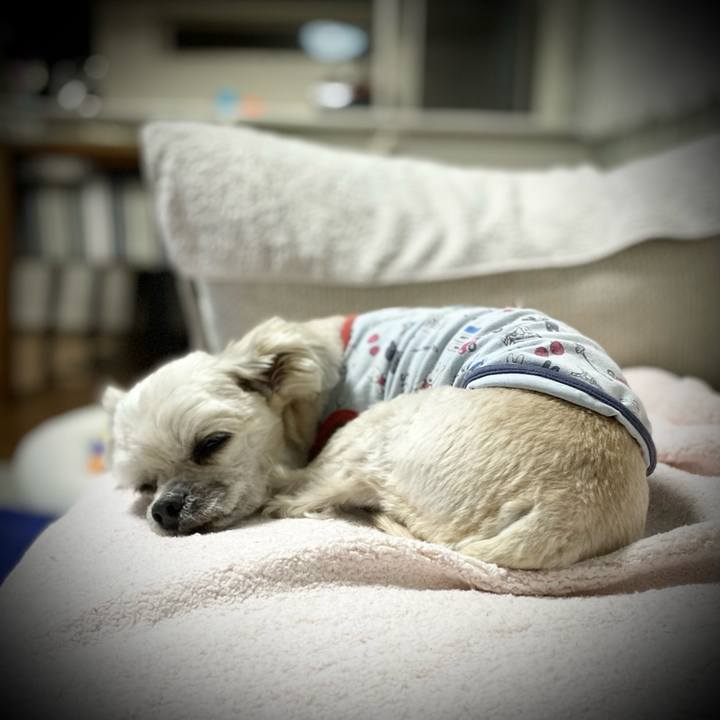 1e846d60 1724 46c9 b781 4138b2cc2b7c 1671542156754