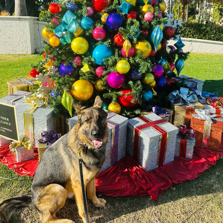 1e8486c3 3553 4662 b126 fc3593ba8d99 1701933888159